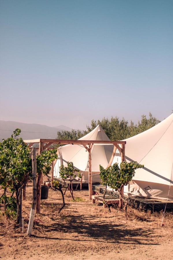 The Pangea Valle de Guadalupe Exterior foto